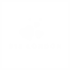 313 London